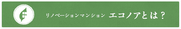 リノベーションマンションエコノアとは？