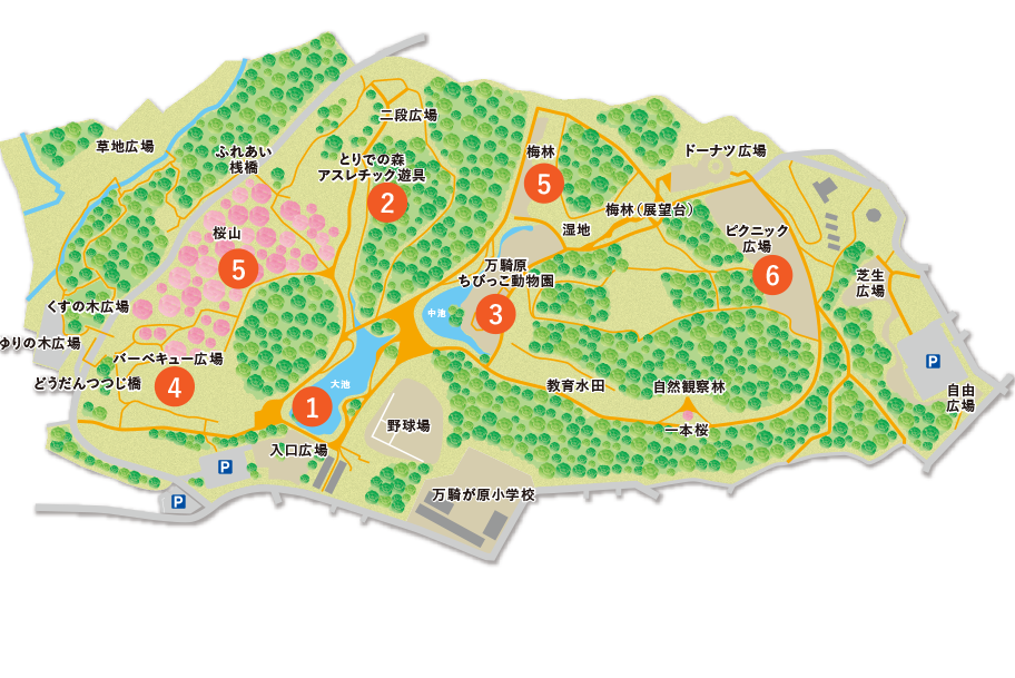 エリア概念図