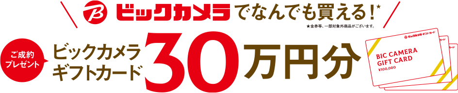 ビックカメラでなんでも買える！ビックカメラギフトカード30万円分