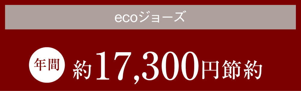 ecoジョーズ 年間約17,300円節約