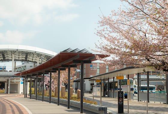 阪神本線 「甲子園」駅（徒歩14分/約1,110m）