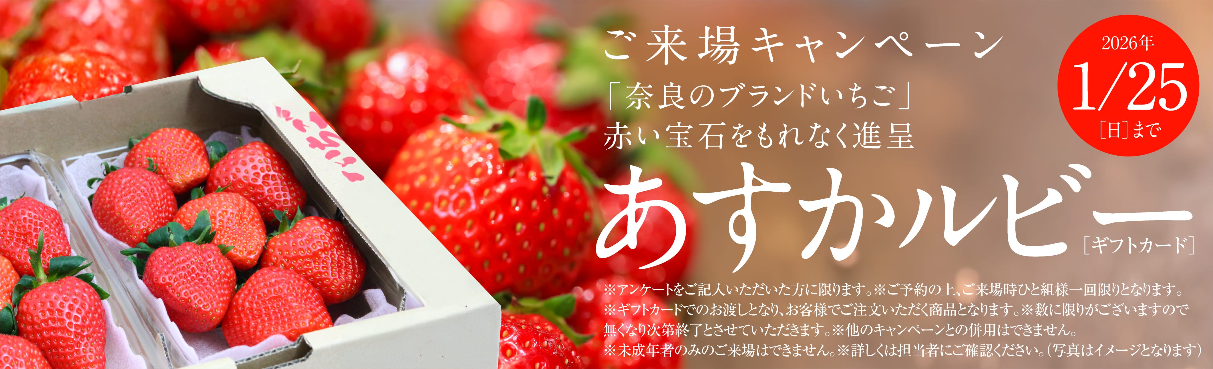 ご来場キャンペーン