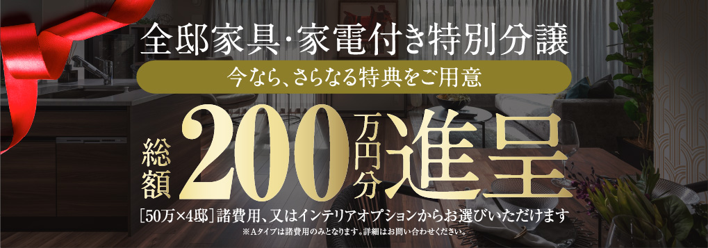全邸家具・家電付き特別分譲