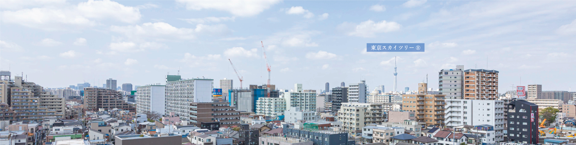 時と共に移ろう、都市の明媚を嗜む。