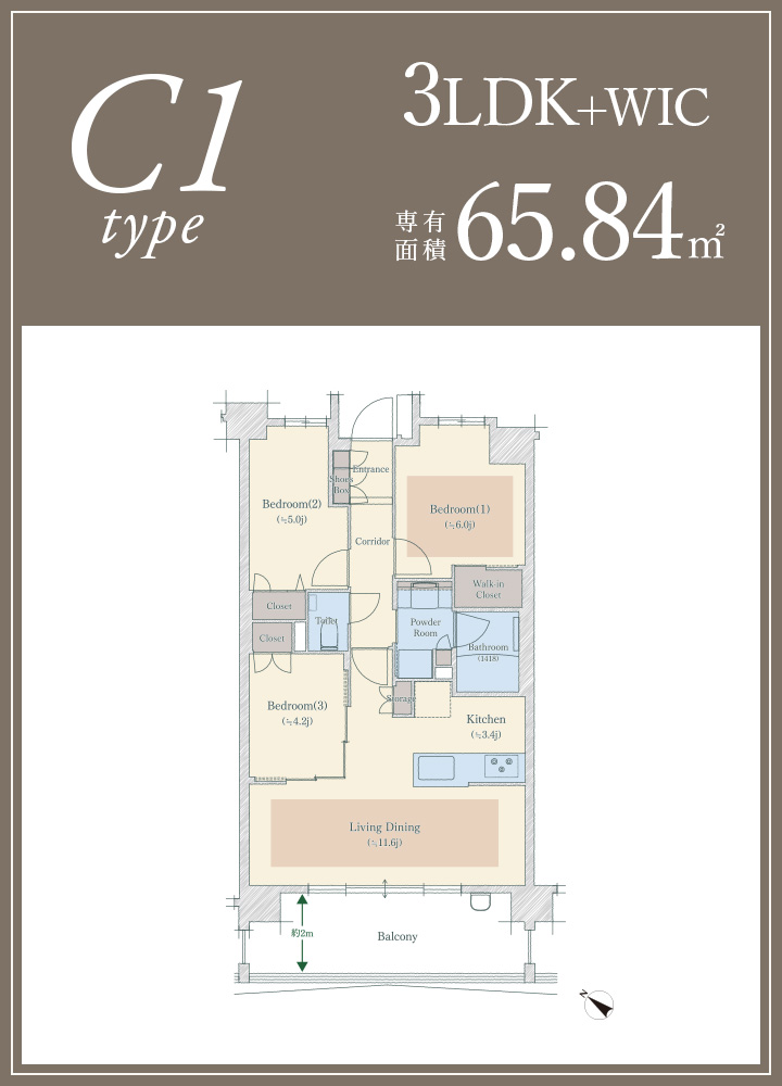 C1タイプ