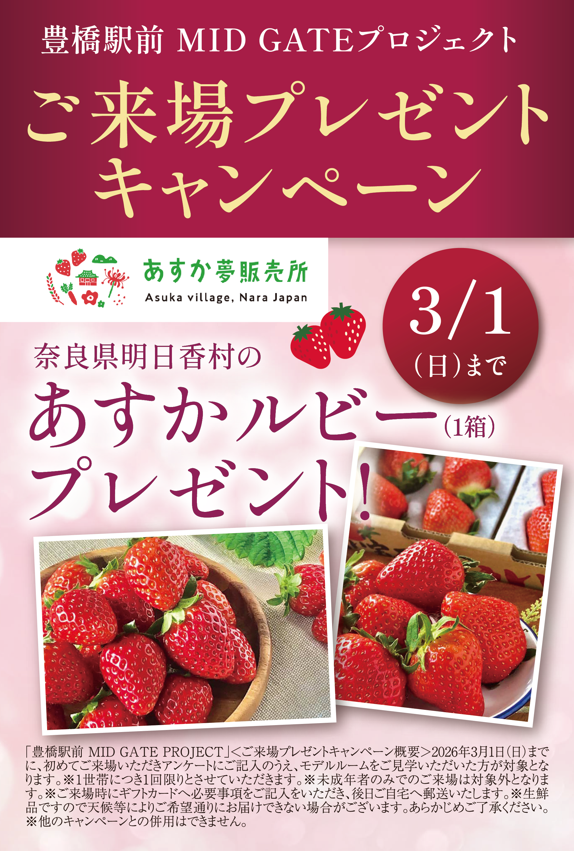 来場キャンペーン