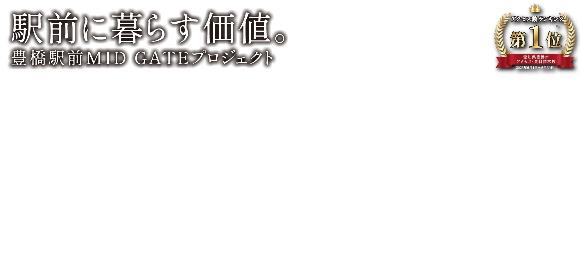 アクセス数ランキング１位