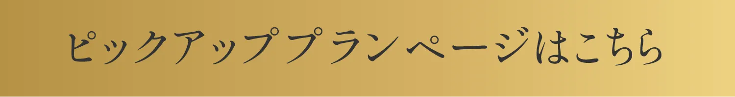 プレミアムプランページはこちら