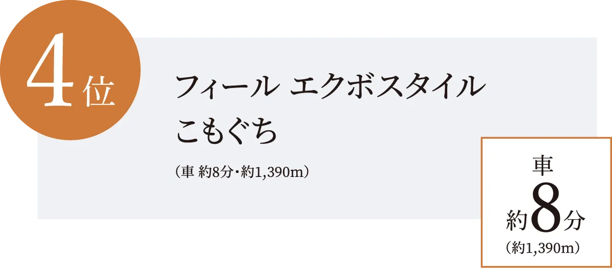 フィール エクボスタイル
