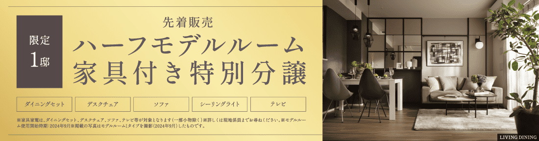 先着販売 ハーフモデルルーム家具付き特別分譲