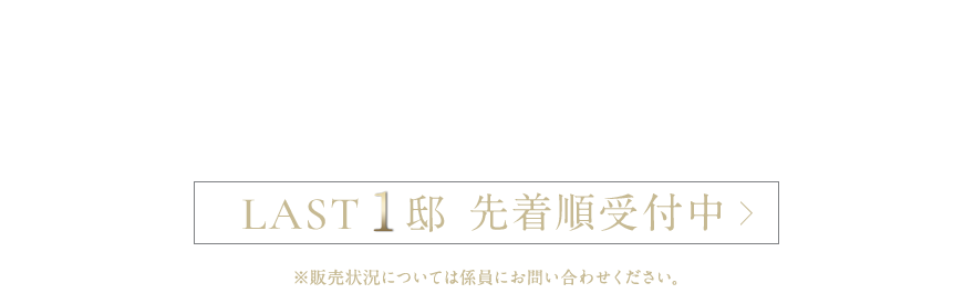 家具付きモデルルーム先着順受付中