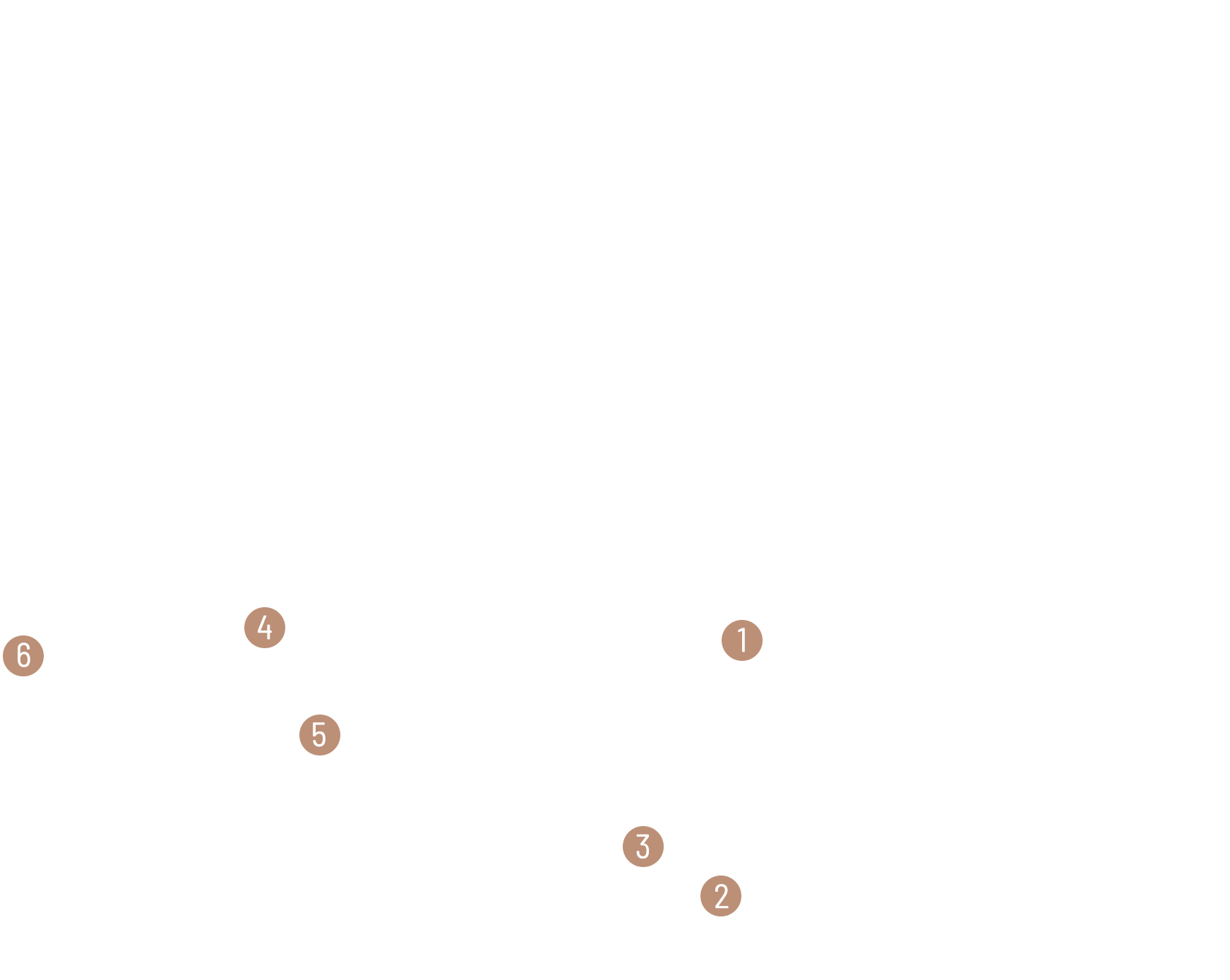 life information