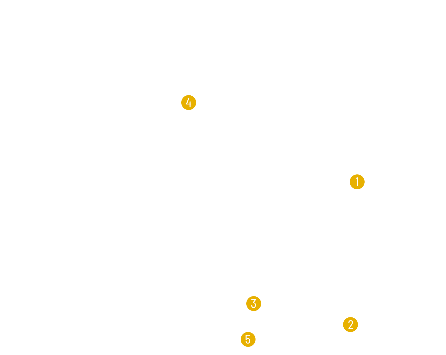 life information