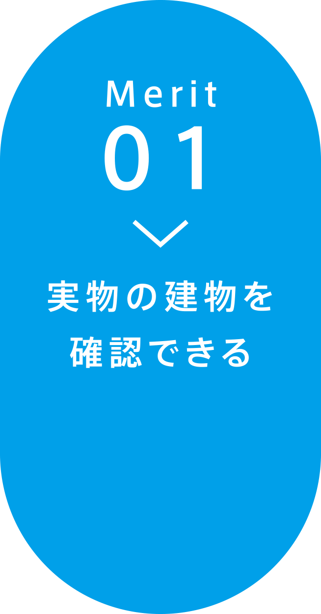 Merit01