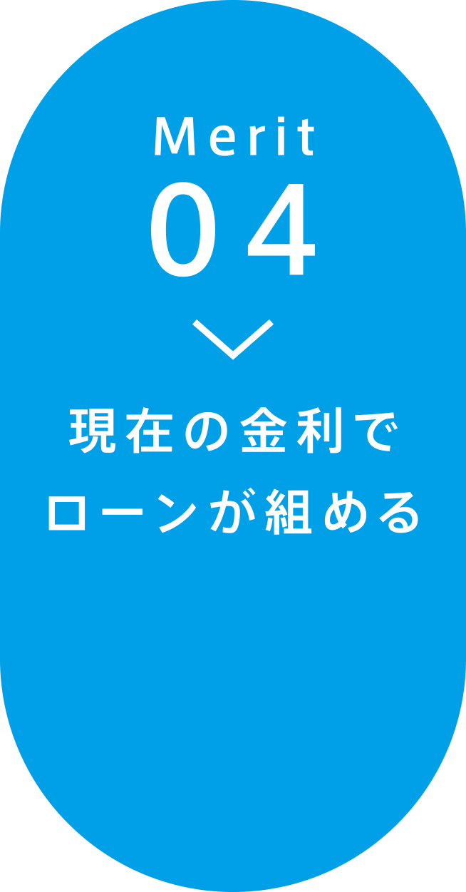 Merit04