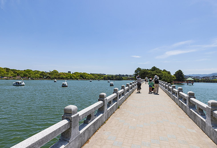 都心の癒しスポット「大濠公園」