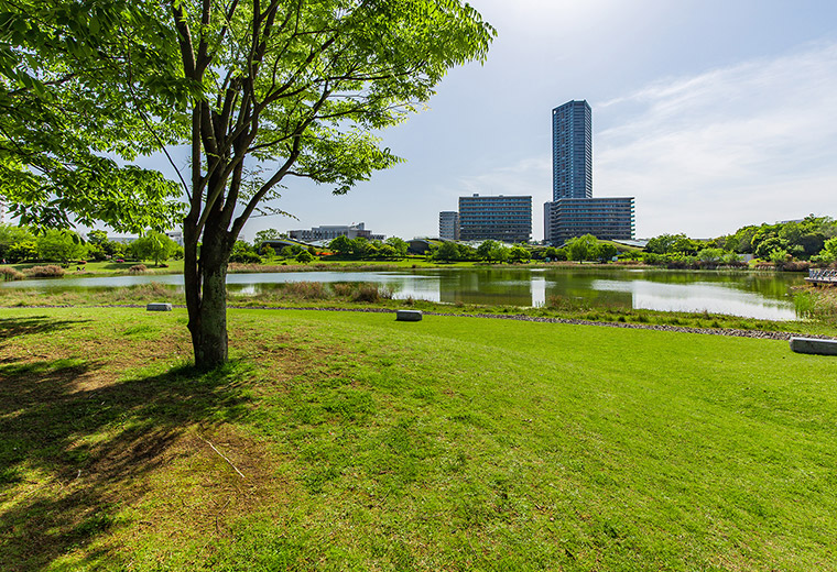 芝生と水の公園「アイランドシティ中央公園」